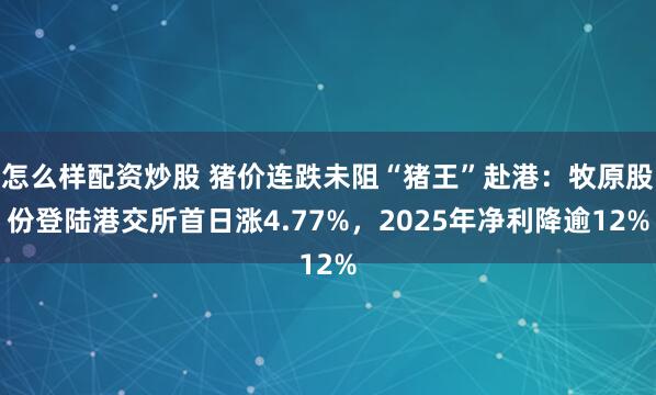 怎么样配资炒股 猪价连跌未阻“猪王”赴港：牧原股份登陆港交所首日涨4.77%，2025年净利降逾12%