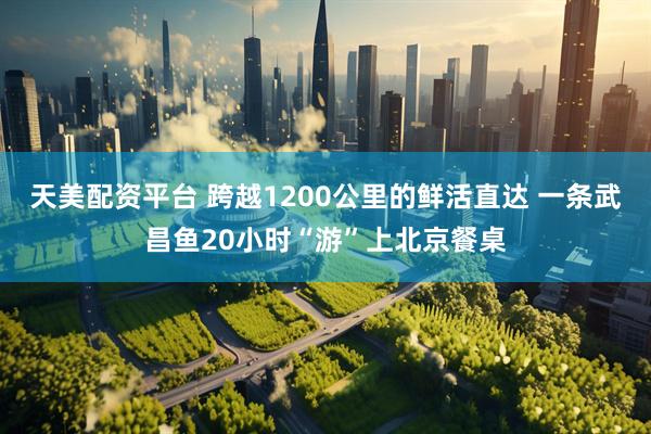 天美配资平台 跨越1200公里的鲜活直达 一条武昌鱼20小时“游”上北京餐桌